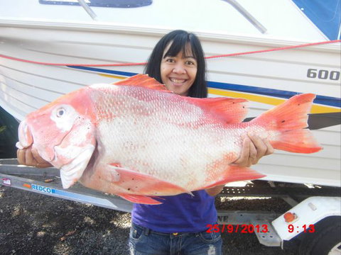 Flying Fish Point Tourist Park - Local Tourism 6