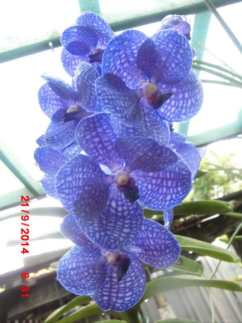 Flying Fish Point Tourist Park - Local Tourism 8