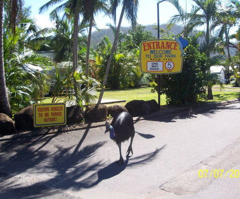 Flying Fish Point Tourist Park - Local Tourism 9
