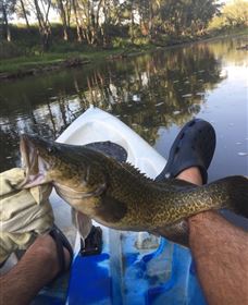 Maidenhead QLD Local Tourism