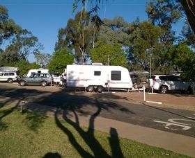 Cunnamulla Tourist Park - Local Tourism 0