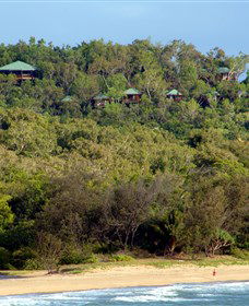Thala Beach Nature Reserve - Australia Shopping 1