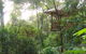 Thala Beach Nature Reserve - thumb 3