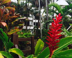 Club Tropical Resort Port Douglas - Australia Shopping 2