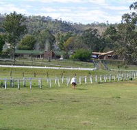 Kellarni Downs Farmstay-Scenic Rim - Local Tourism