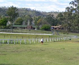 Kellarni Downs Farmstay-Scenic Rim - Local Tourism 0
