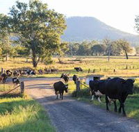 Tommerups Dairy Farmstay - Local Tourism