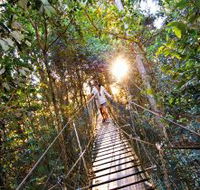O'Reilly's Rainforest Retreat