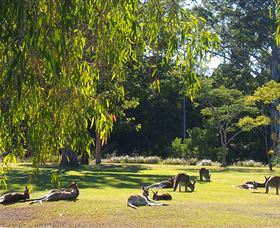 Bellmere On Richards - Local Tourism 2