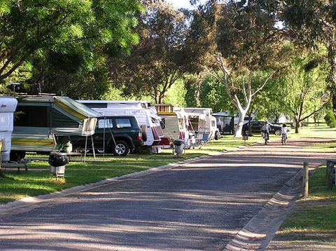Halls Gap Gardens Caravan Park - Local Tourism 3
