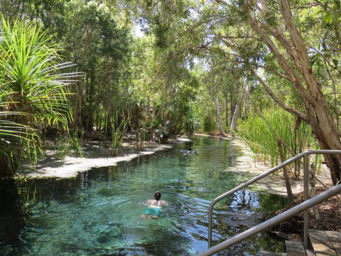 Bitter Springs Cabins And Camping - Local Tourism 6