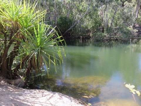 Bitter Springs Cabins And Camping - Local Tourism 7