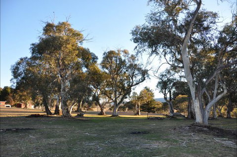 Braemar Bay Holiday Park - Accommodation Australia 5