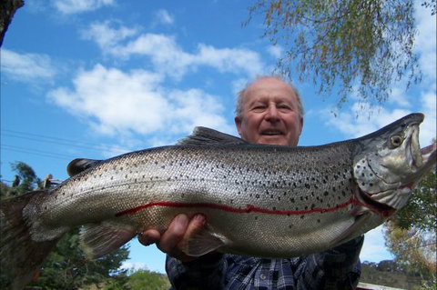 Braemar Bay Holiday Park - Accommodation Australia 7