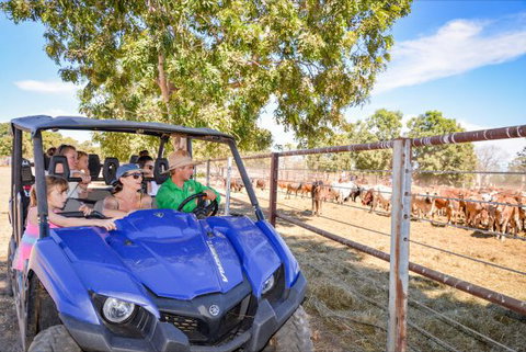 Bullo River Station - Local Tourism 4