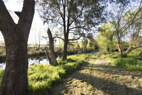 Fossickers' Tourist Park - Accommodation Australia 9