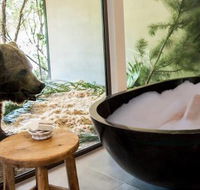 Jamala Wildlife Lodge - Local Tourism