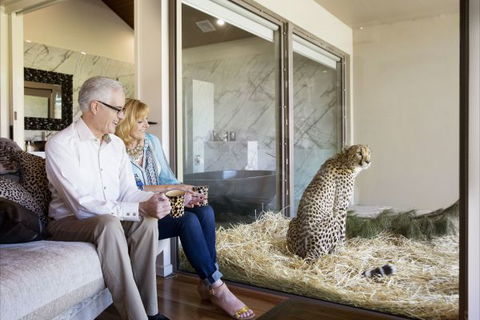 Jamala Wildlife Lodge - Accommodation Australia 3