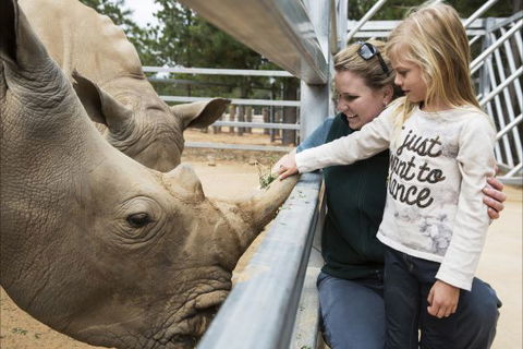 Jamala Wildlife Lodge - Accommodation Australia 7