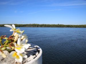 The Fishing Haven Holiday Park - Accommodation Australia 0