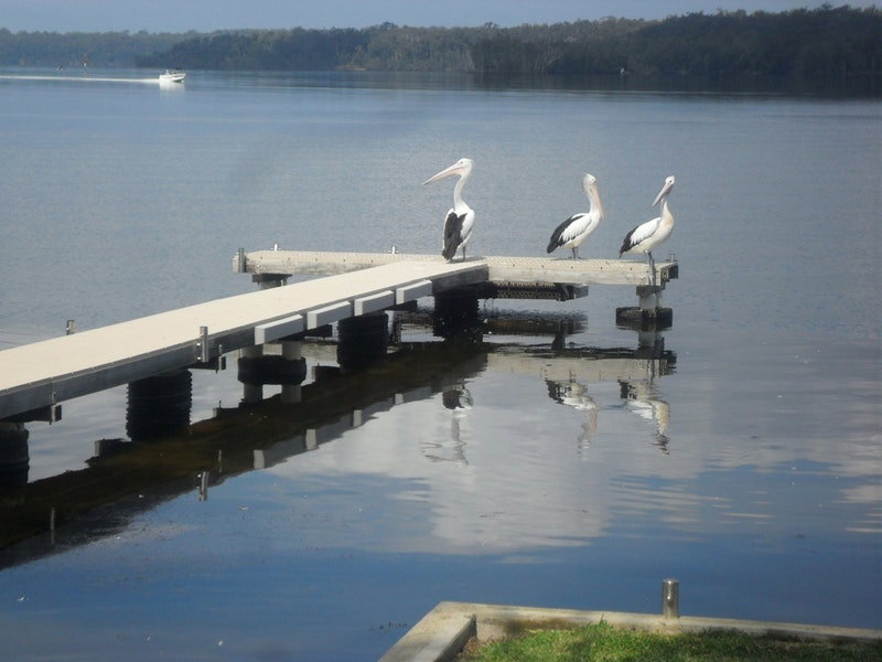Basin View NSW Accommodation Australia