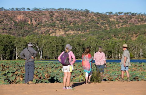 Mount Nancar Wilderness Retreat - Accommodation Australia 5