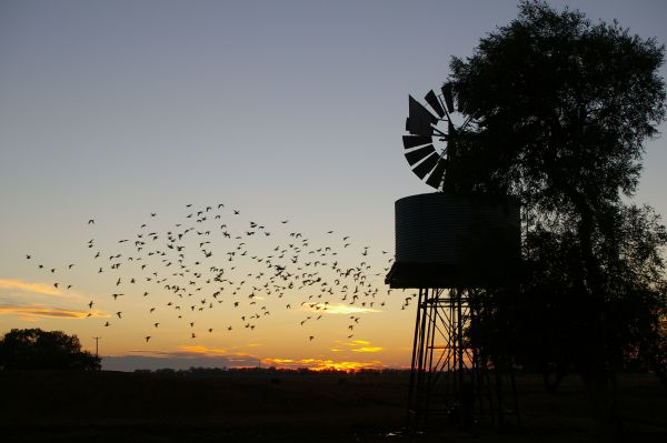 Tooraweenah NSW Accommodation Australia