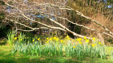 Southdown Cottage Bowral - Local Tourism 7