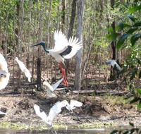 Rakhi Retreat - Accommodation Australia