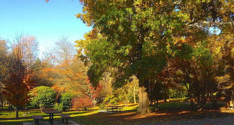 Eastern Dandenong Ranges Visitor Information Centre - Local Tourism 1