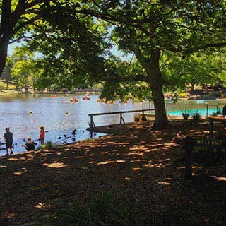 Eastern Dandenong Ranges Visitor Information Centre - Local Tourism 4