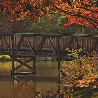 Eastern Dandenong Ranges Visitor Information Centre - Local Tourism 6