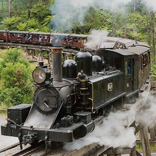 Eastern Dandenong Ranges Visitor Information Centre - Local Tourism 7
