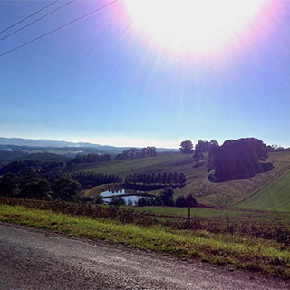 Eastern Dandenong Ranges Visitor Information Centre - Local Tourism 9