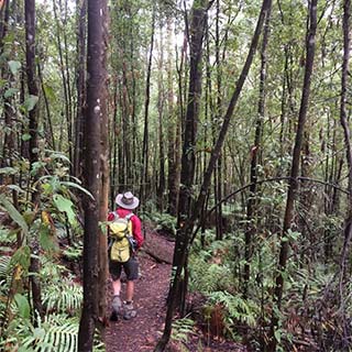 Eastern Dandenong Ranges Visitor Information Centre - Local Tourism 11