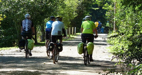 Eastern Dandenong Ranges Visitor Information Centre - Local Tourism 13