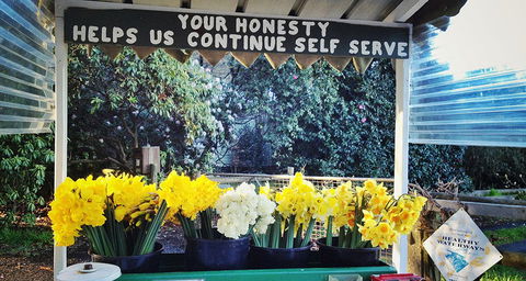 Eastern Dandenong Ranges Visitor Information Centre - Local Tourism 15