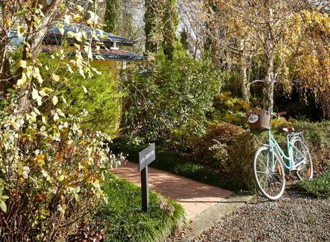 Pizzini's Vineyard Guesthouse - Local Tourism 5