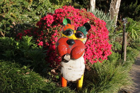 Pizzini's Vineyard Guesthouse - Local Tourism 7