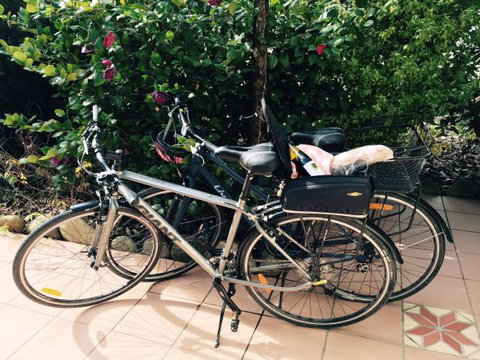 Pizzini's Vineyard Guesthouse - Local Tourism 8