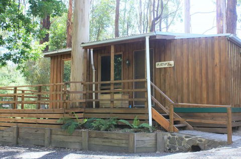 Tarra Valley Caravan Park - Local Tourism 1