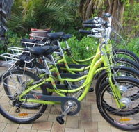 Paul's Eco E Bike Tours - Local Tourism