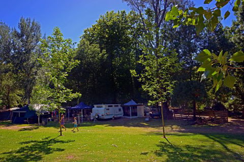 Ardern's Caravan Park, Myrtleford - Local Tourism 0