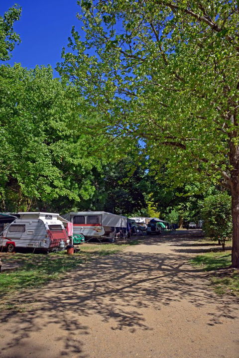 Ardern's Caravan Park, Myrtleford - Local Tourism 1