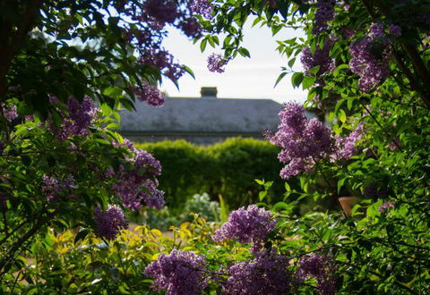 Eurambeen Historic Homestead And Gardens - Local Tourism 1