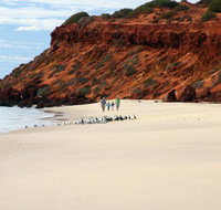 Herald Bight Camp at Francois Peron National Park - Accommodation Australia
