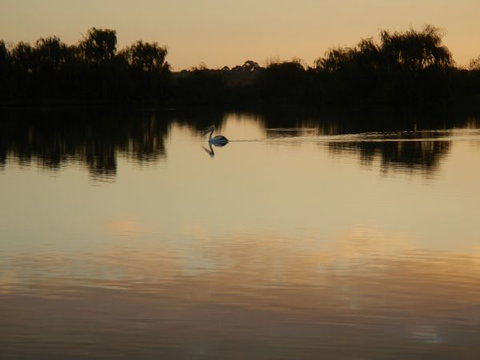 Washpool Retreat - Accommodation Australia 7