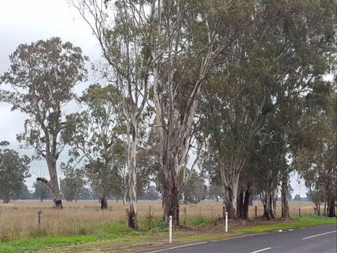 The Gums - Accommodation Australia 8