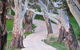 Barrenjoey Hideaway - thumb 2