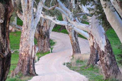 Barrenjoey Hideaway - Accommodation Australia 2